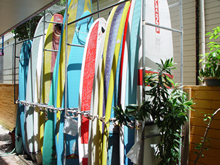 Rental Surfboards